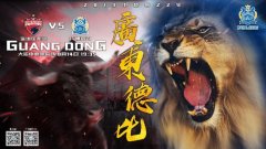 深足VS富力首发:普雷西多亚候补 扎哈维搭肖智冲