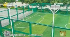 45元修篮筐打报告数月!足球场来养草 体育局长愧